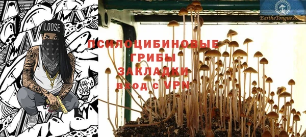 мдпв Сясьстрой